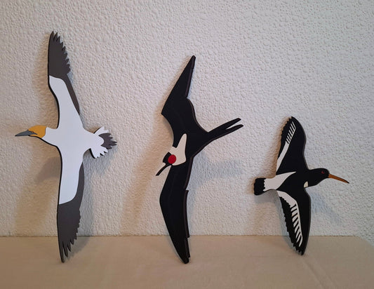 Wall Art Seabirds - Pacific Frigate