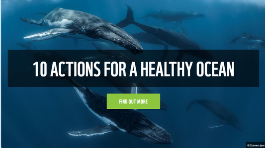 Protect Our Marine Mammals