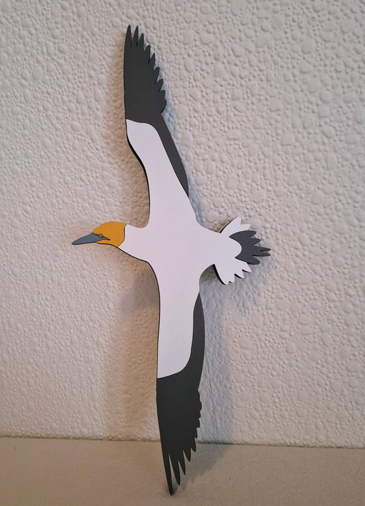 Wall Art Sea Birds - Gannet