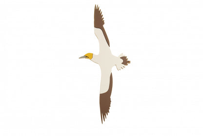 Wall Art Sea Birds - Gannet