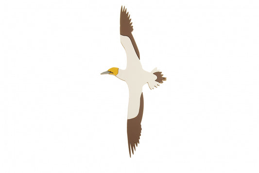 Wall Art Sea Birds - Gannet