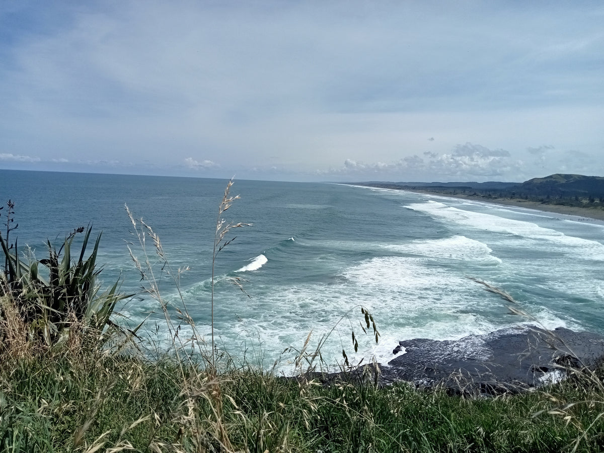 Muriwai Beach, West Auckland, NZ